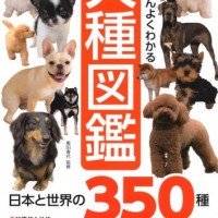 いちばんよくわかる　犬種図鑑　日本と世界の350種